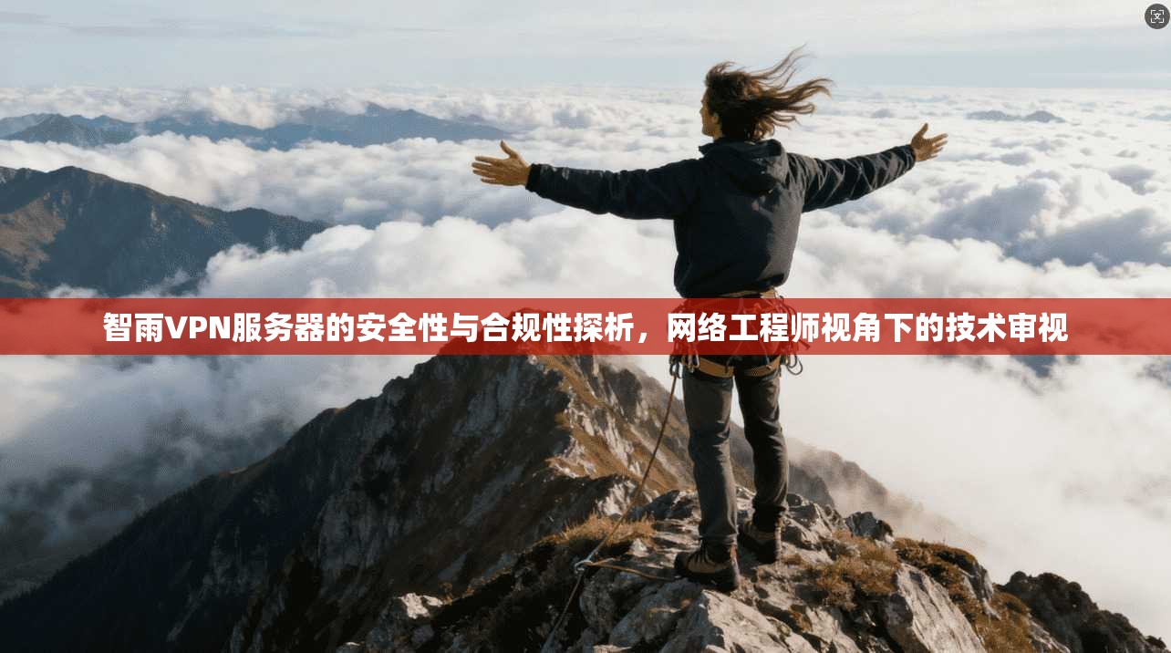 智雨VPN服务器的安全性与合规性探析，网络工程师视角下的技术审视