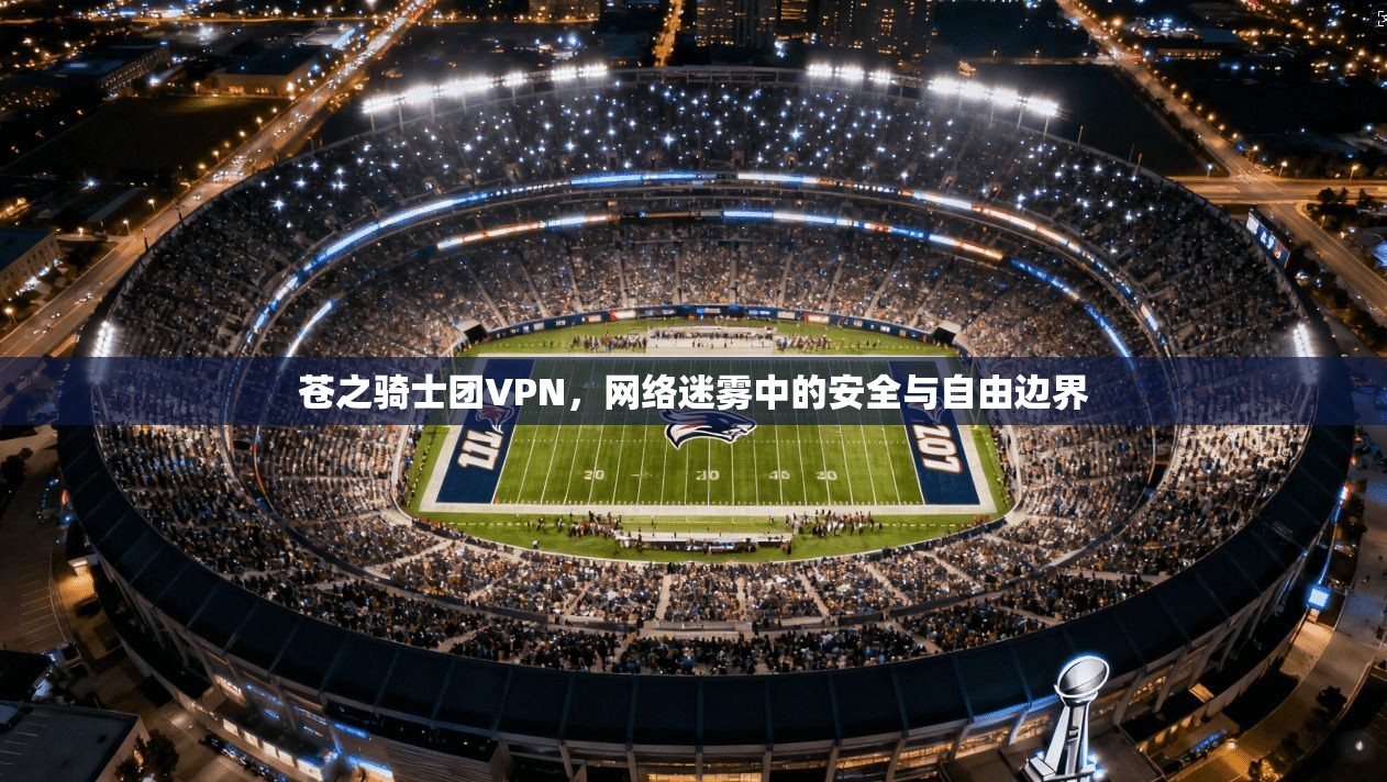 苍之骑士团VPN,网络迷雾中的安全与自由边界 苍之骑士团VPN,网络迷雾中的安全与自由边界