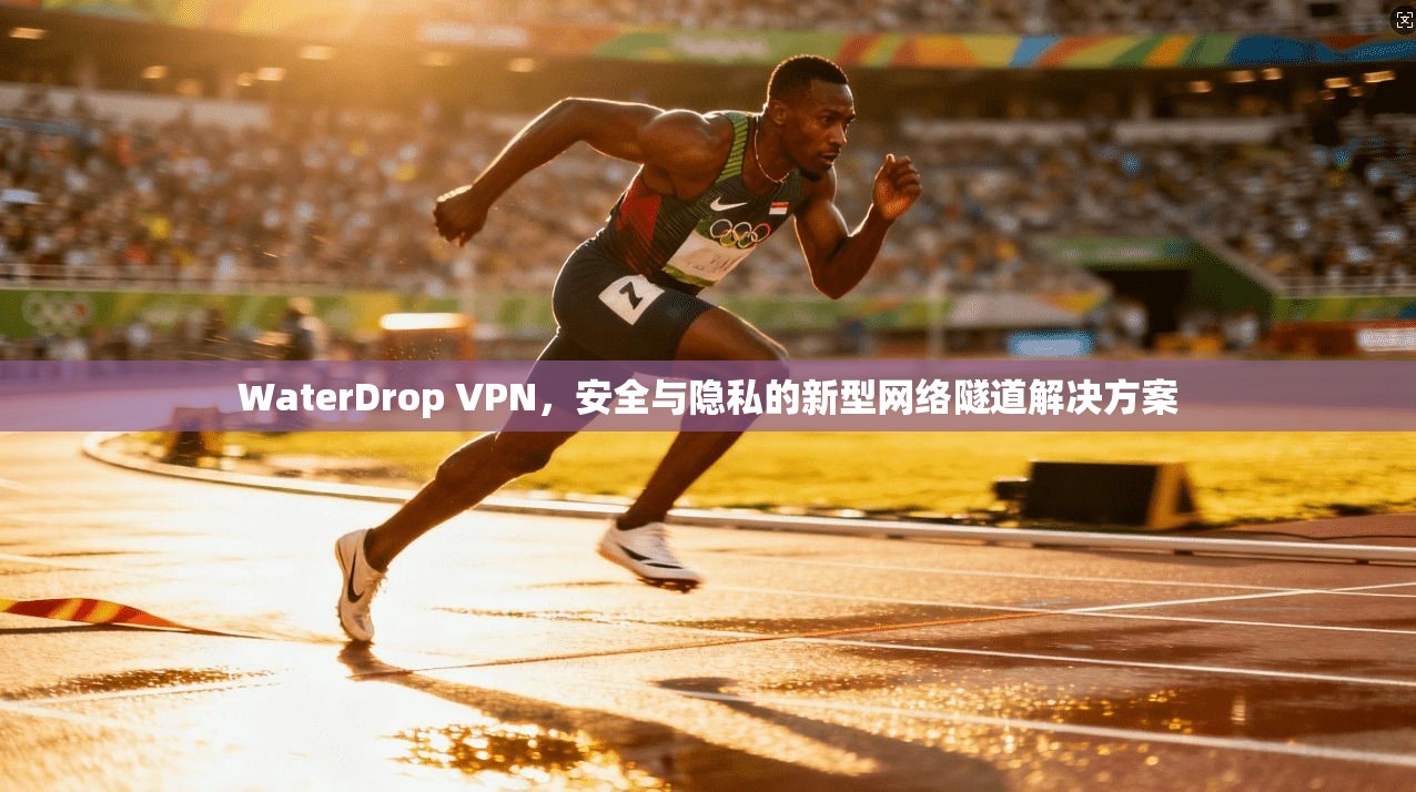 WaterDrop VPN，安全与隐私的新型网络隧道解决方案
