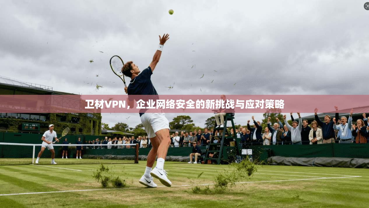 卫材VPN，企业网络安全的新挑战与应对策略