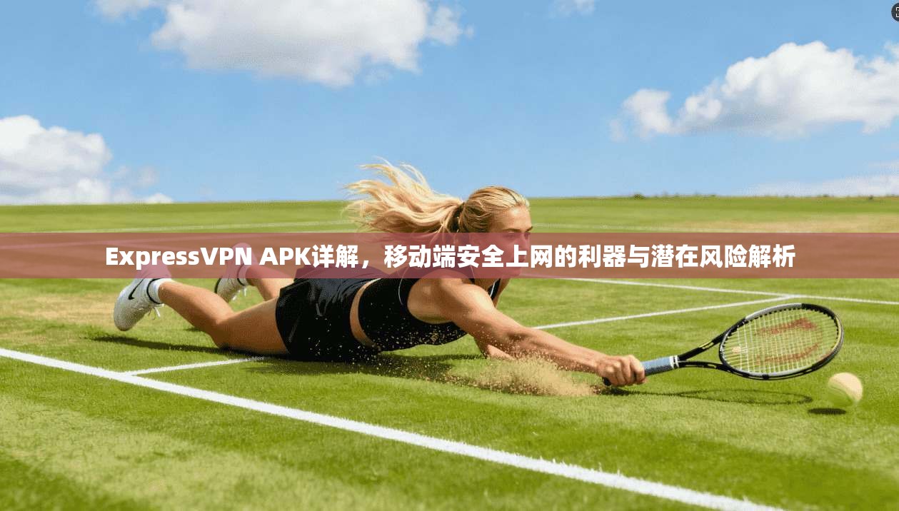 ExpressVPN APK详解，移动端安全上网的利器与潜在风险解析