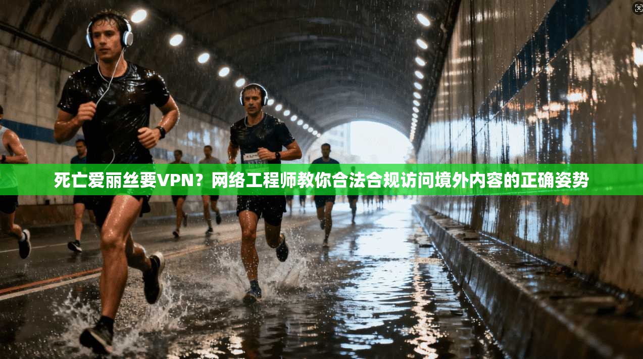 死亡爱丽丝要VPN?网络工程师教你合法合规访问境外内容的正确姿势 死亡爱丽丝要VPN?网络工程师教你合法合规访问境外内容的正确姿势