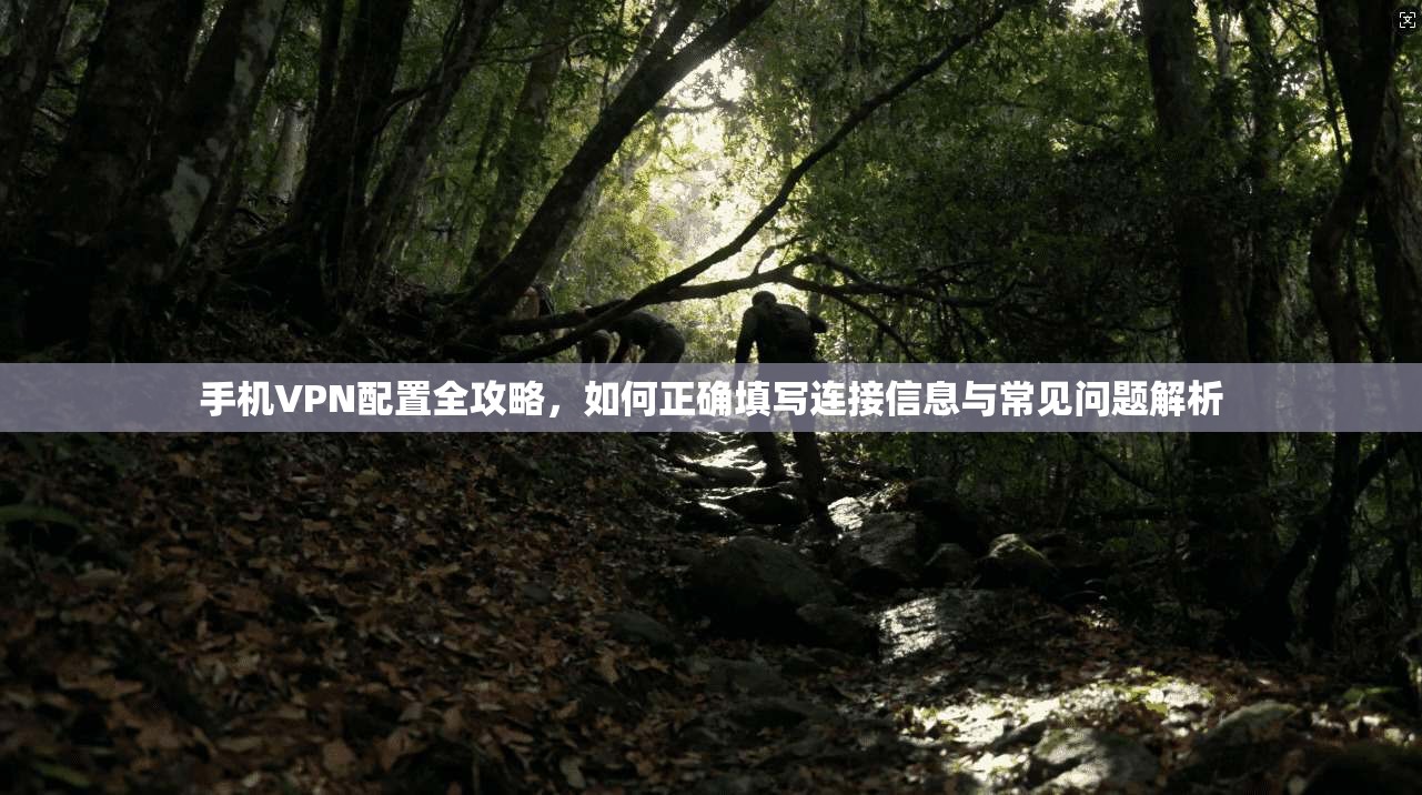 手机VPN配置全攻略，如何正确填写连接信息与常见问题解析