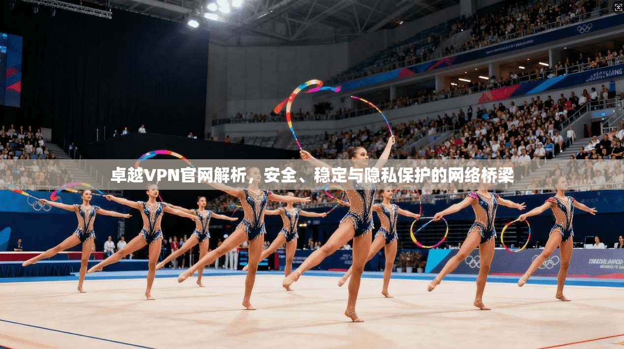 卓越VPN官网解析，安全、稳定与隐私保护的网络桥梁