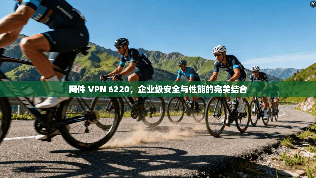 网件 VPN 6220，企业级安全与性能的完美结合
