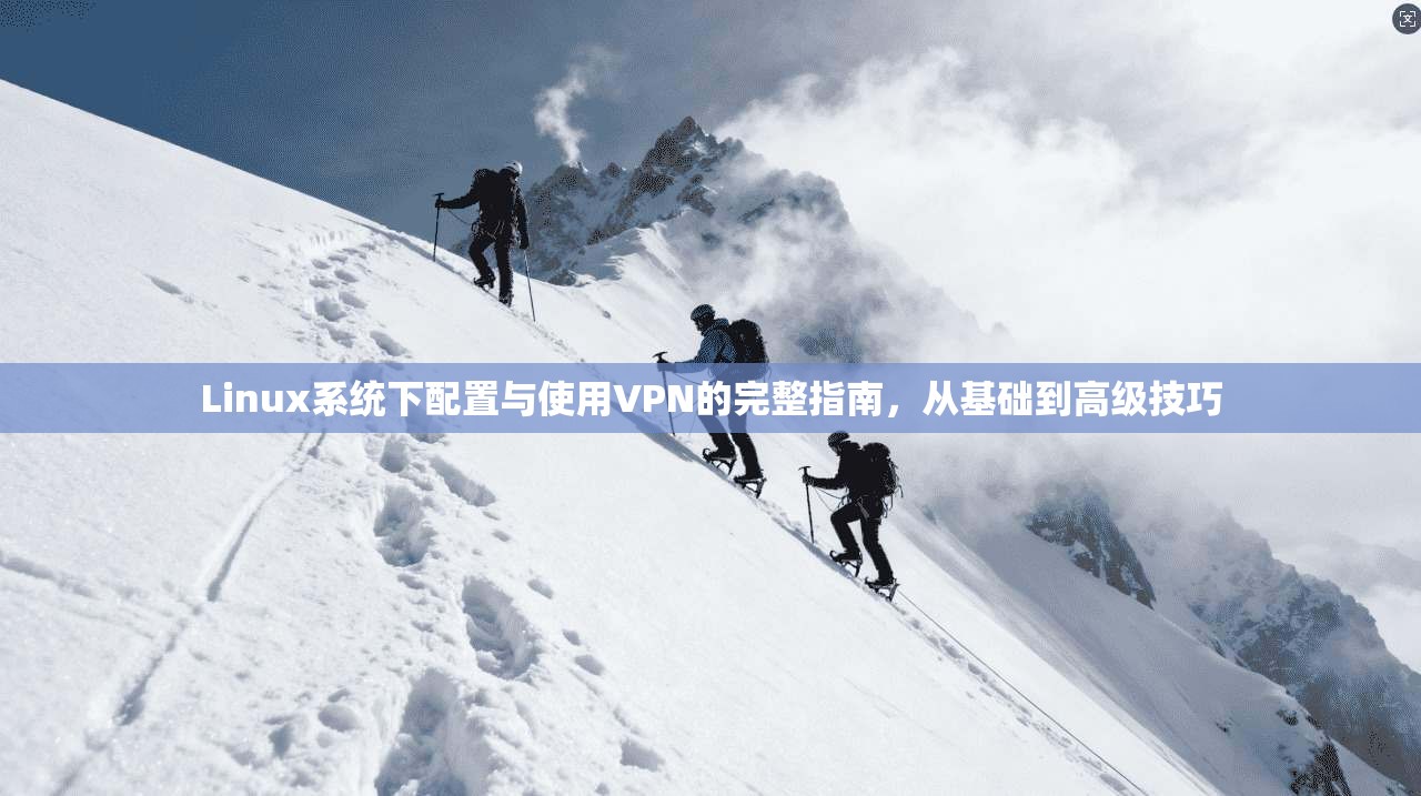 Linux系统下配置与使用VPN的完整指南，从基础到高级技巧