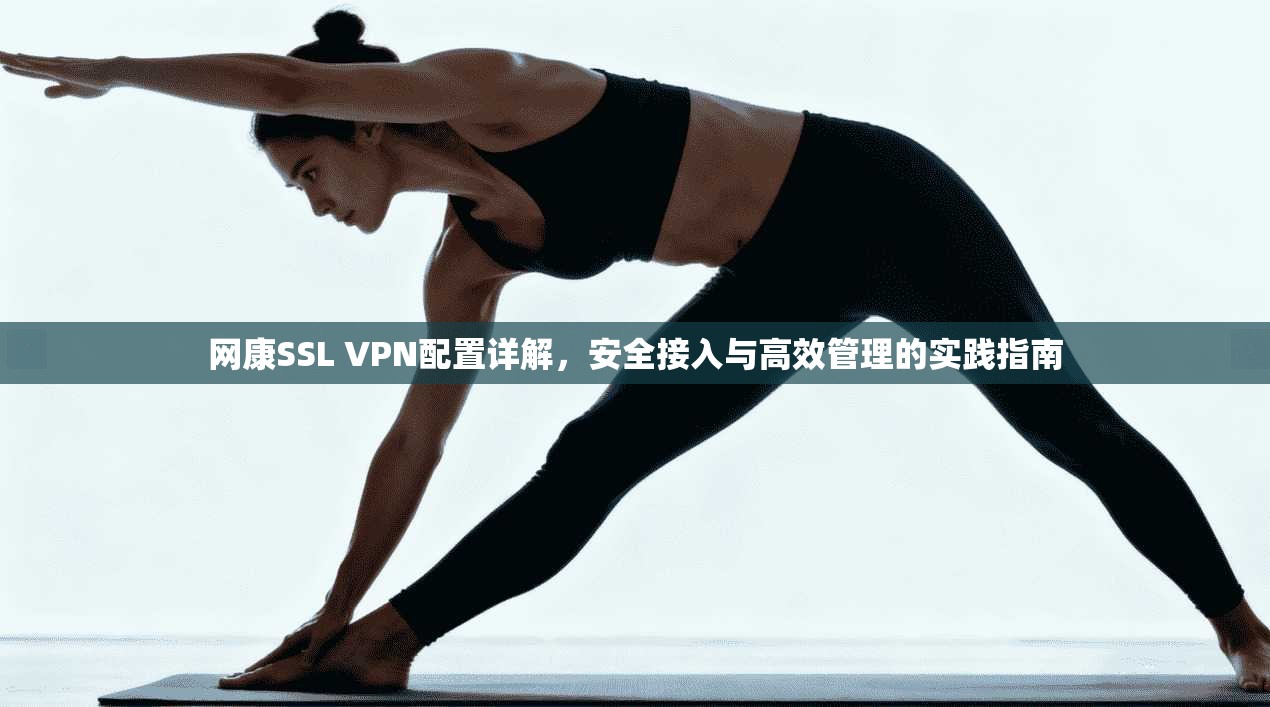 网康SSL VPN配置详解，安全接入与高效管理的实践指南