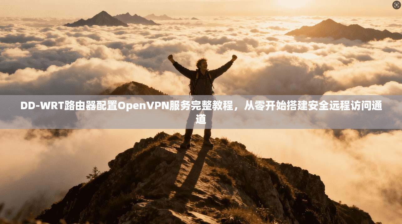DD-WRT路由器配置OpenVPN服务完整教程，从零开始搭建安全远程访问通道