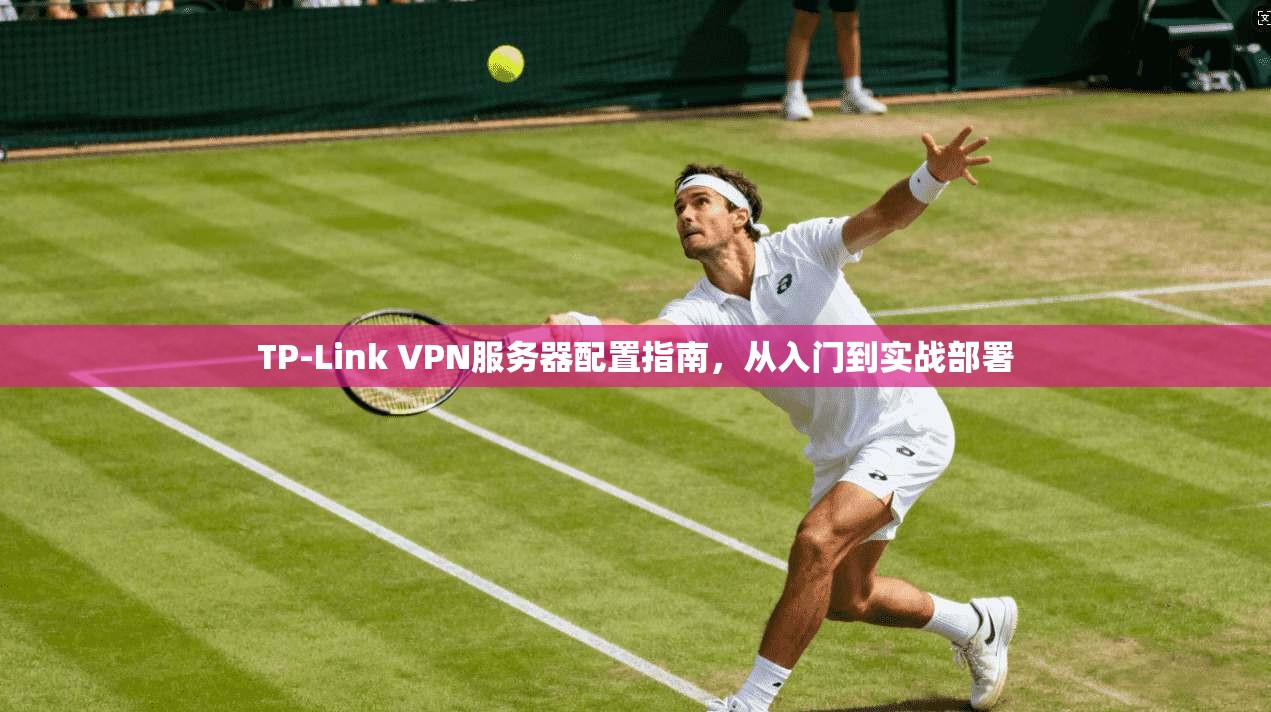 TP-Link VPN服务器配置指南，从入门到实战部署