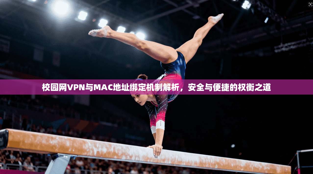 校园网VPN与MAC地址绑定机制解析，安全与便捷的权衡之道
