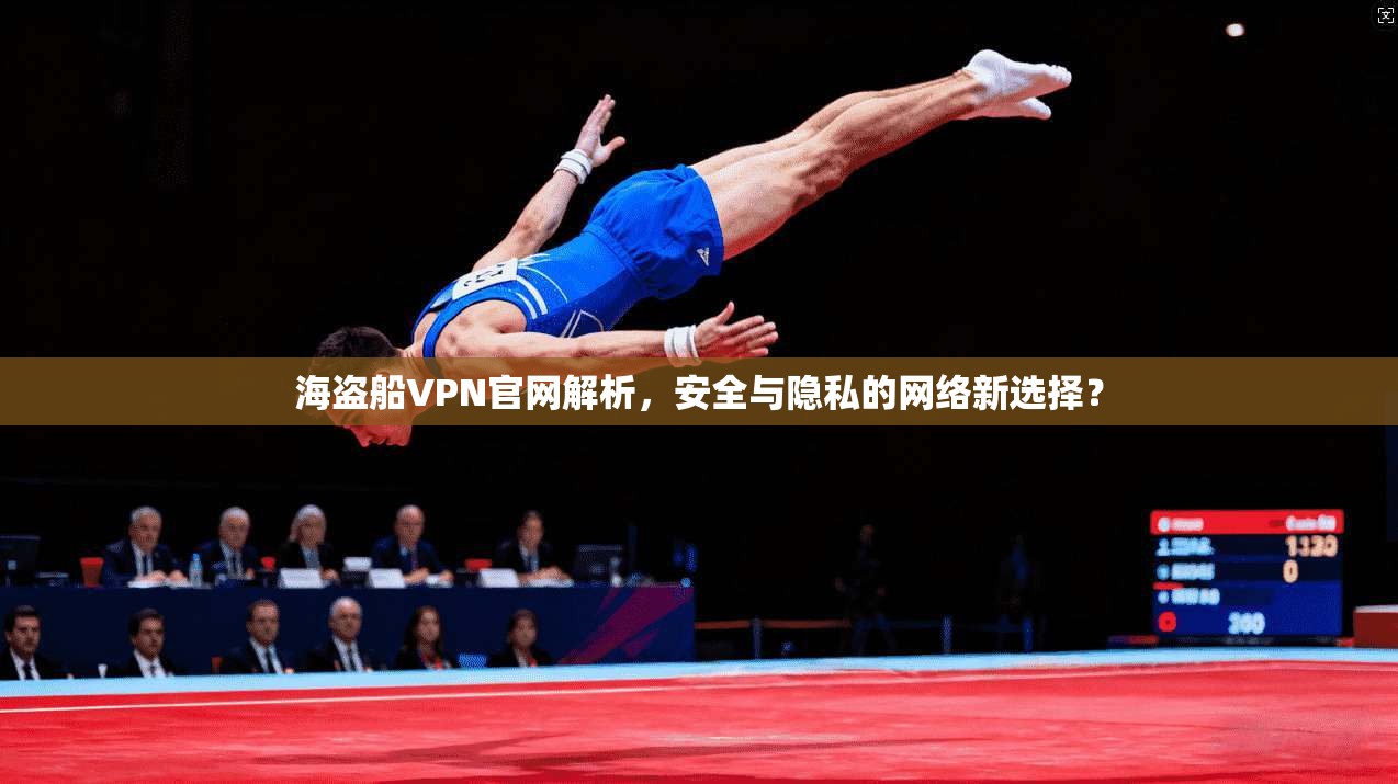 海盗船VPN官网解析，安全与隐私的网络新选择？
