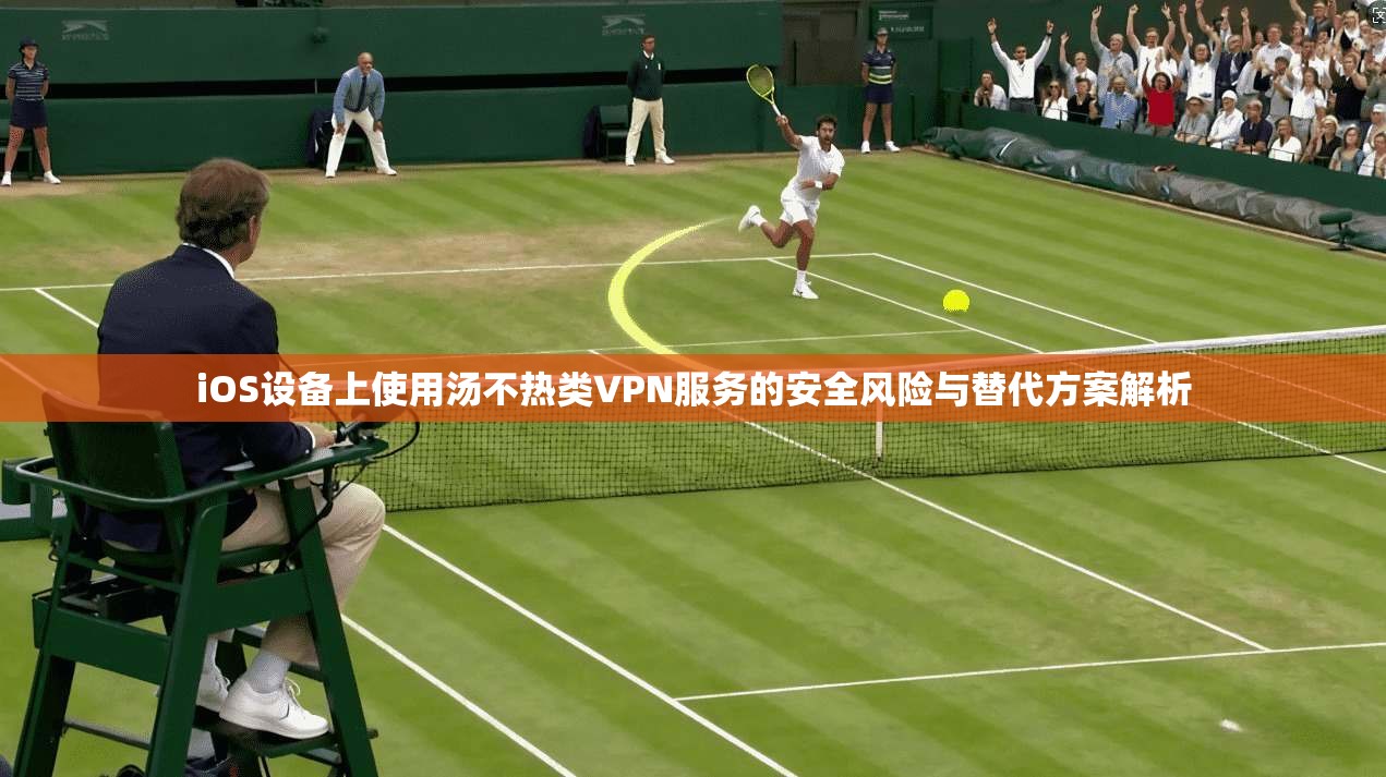 iOS设备上使用汤不热类VPN服务的安全风险与替代方案解析