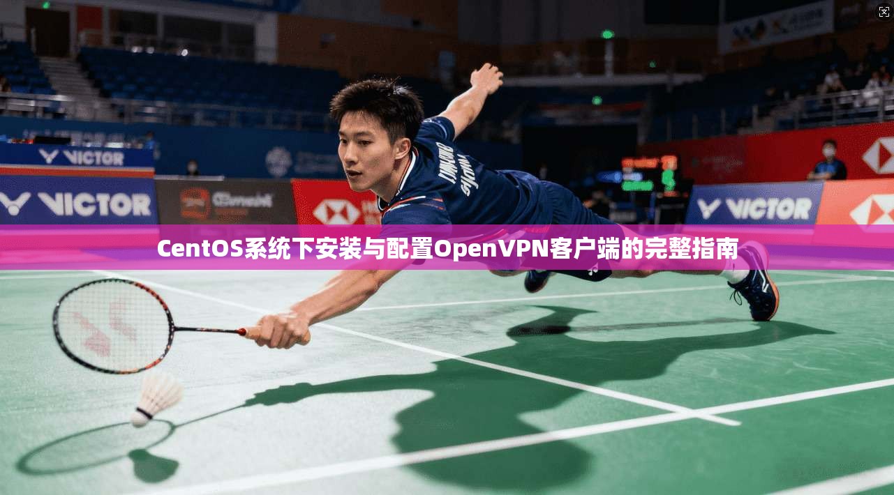 CentOS系统下安装与配置OpenVPN客户端的完整指南 CentOS系统下安装与配置OpenVPN客户端的完整指南