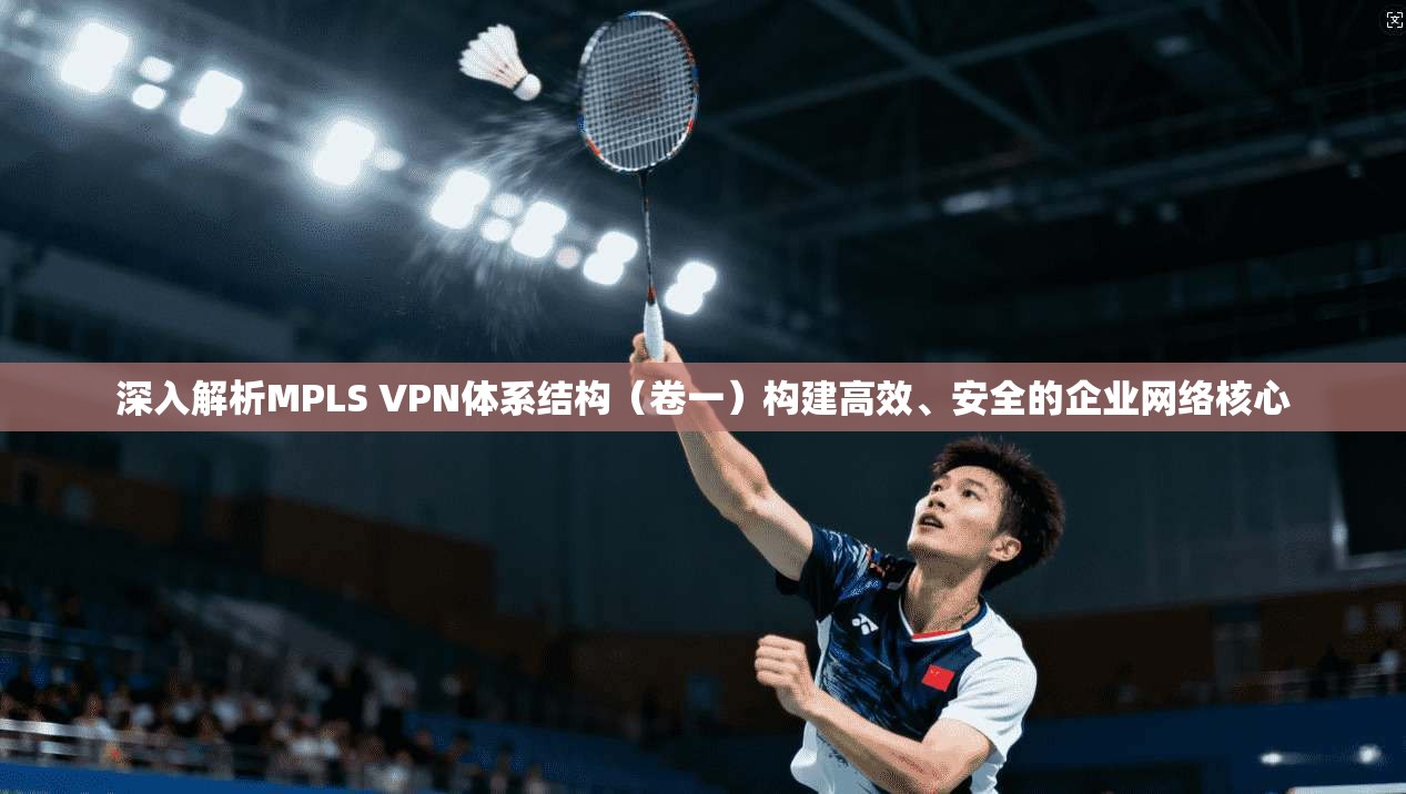 深入解析MPLS VPN体系结构（卷一）构建高效、安全的企业网络核心