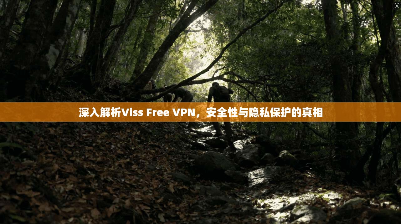 深入解析Viss Free VPN，安全性与隐私保护的真相