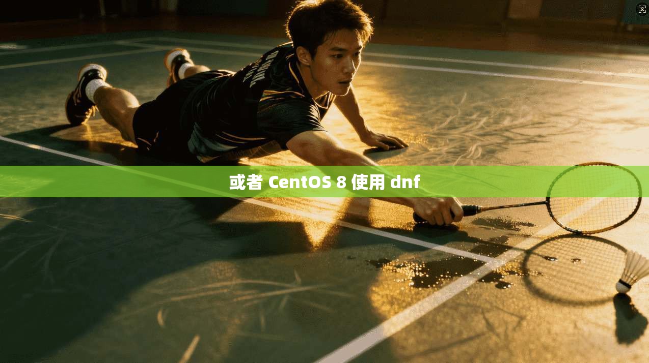 或者 CentOS 8 使用 dnf
