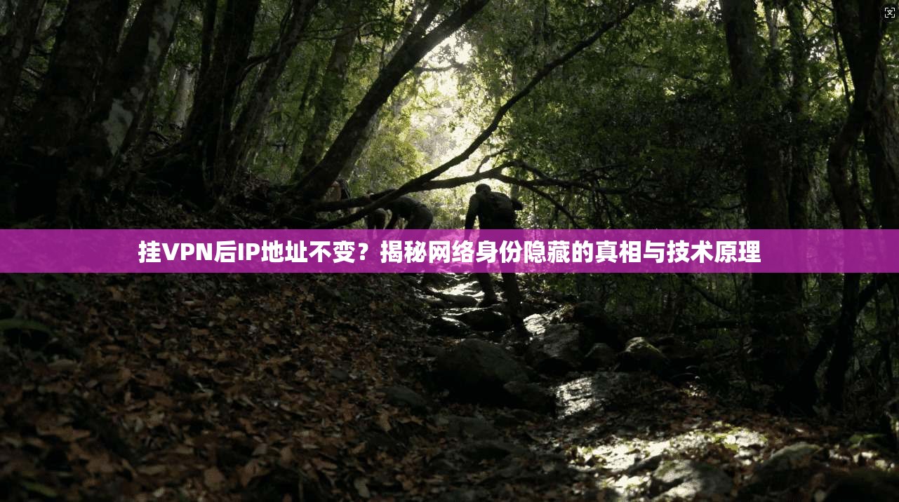挂VPN后IP地址不变?揭秘网络身份隐藏的真相与技术原理 挂VPN后IP地址不变?揭秘网络身份隐藏的真相与技术原理