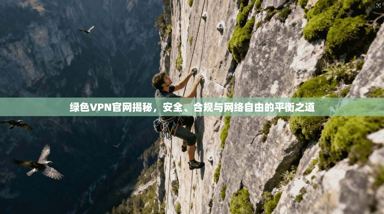 绿色VPN官网揭秘，安全、合规与网络自由的平衡之道