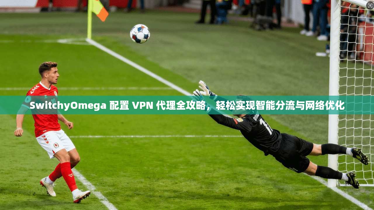 SwitchyOmega 配置 VPN 代理全攻略，轻松实现智能分流与网络优化