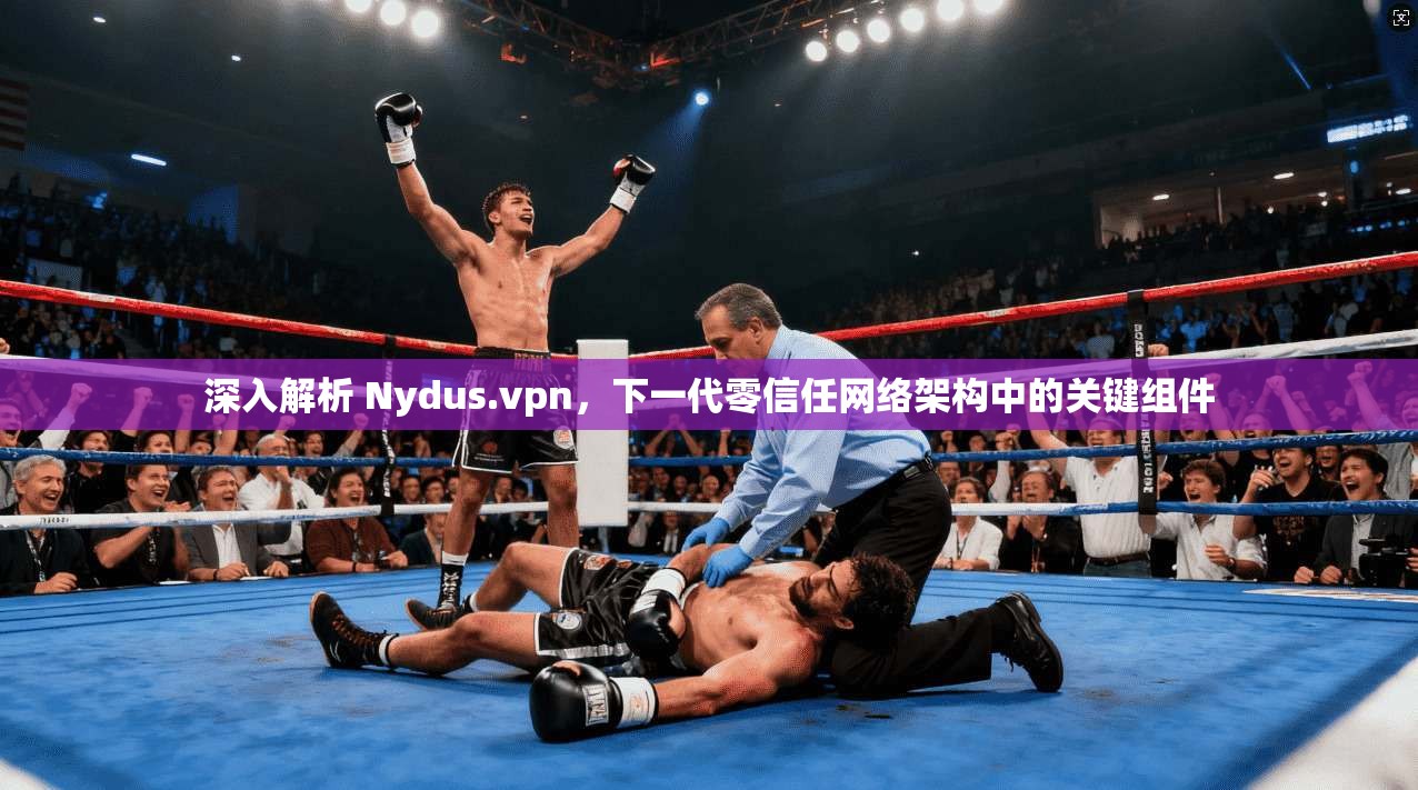 深入解析 Nydus.vpn，下一代零信任网络架构中的关键组件
