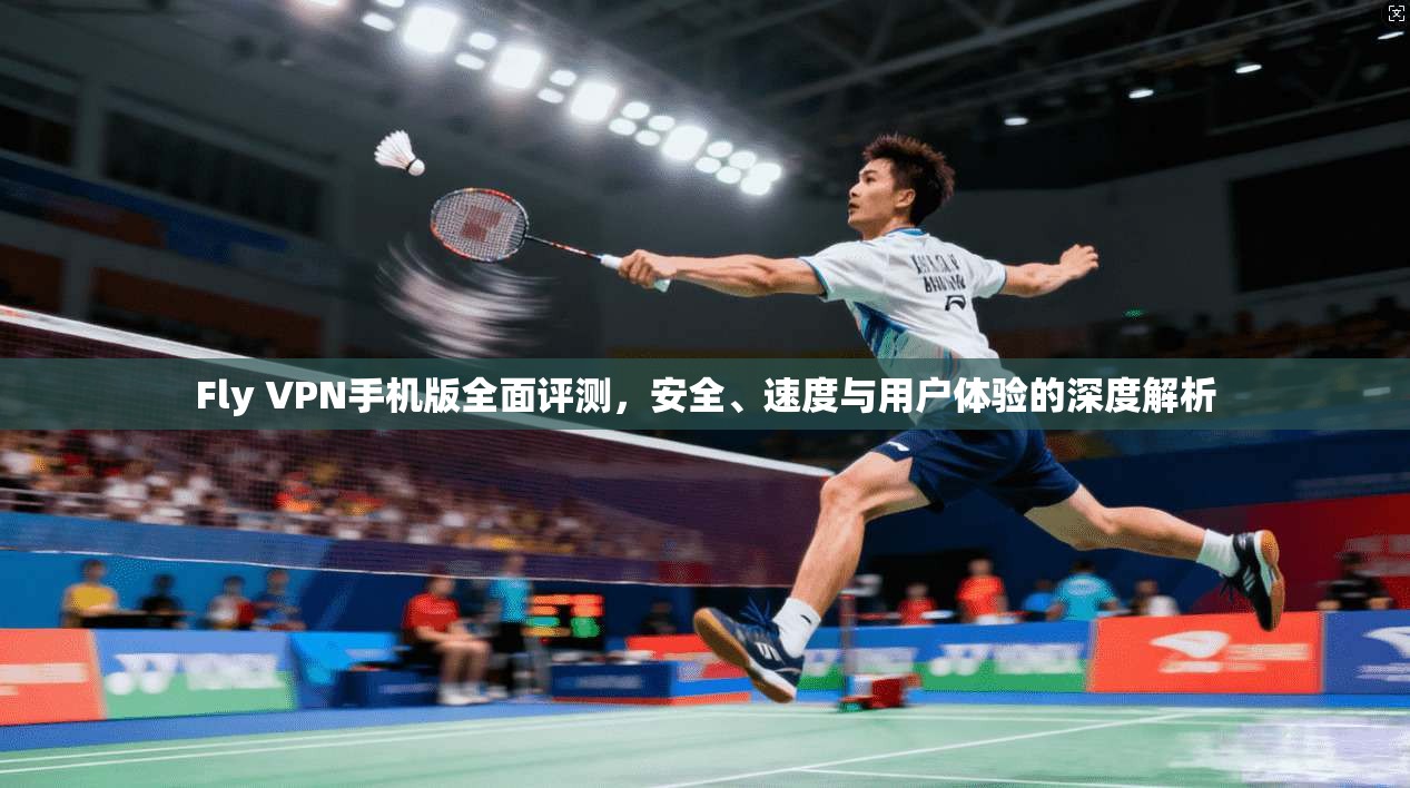 Fly VPN手机版全面评测，安全、速度与用户体验的深度解析