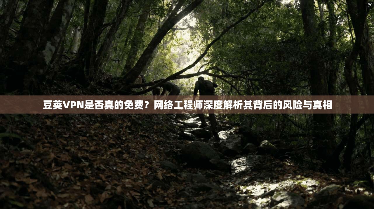 豆荚VPN是否真的免费？网络工程师深度解析其背后的风险与真相