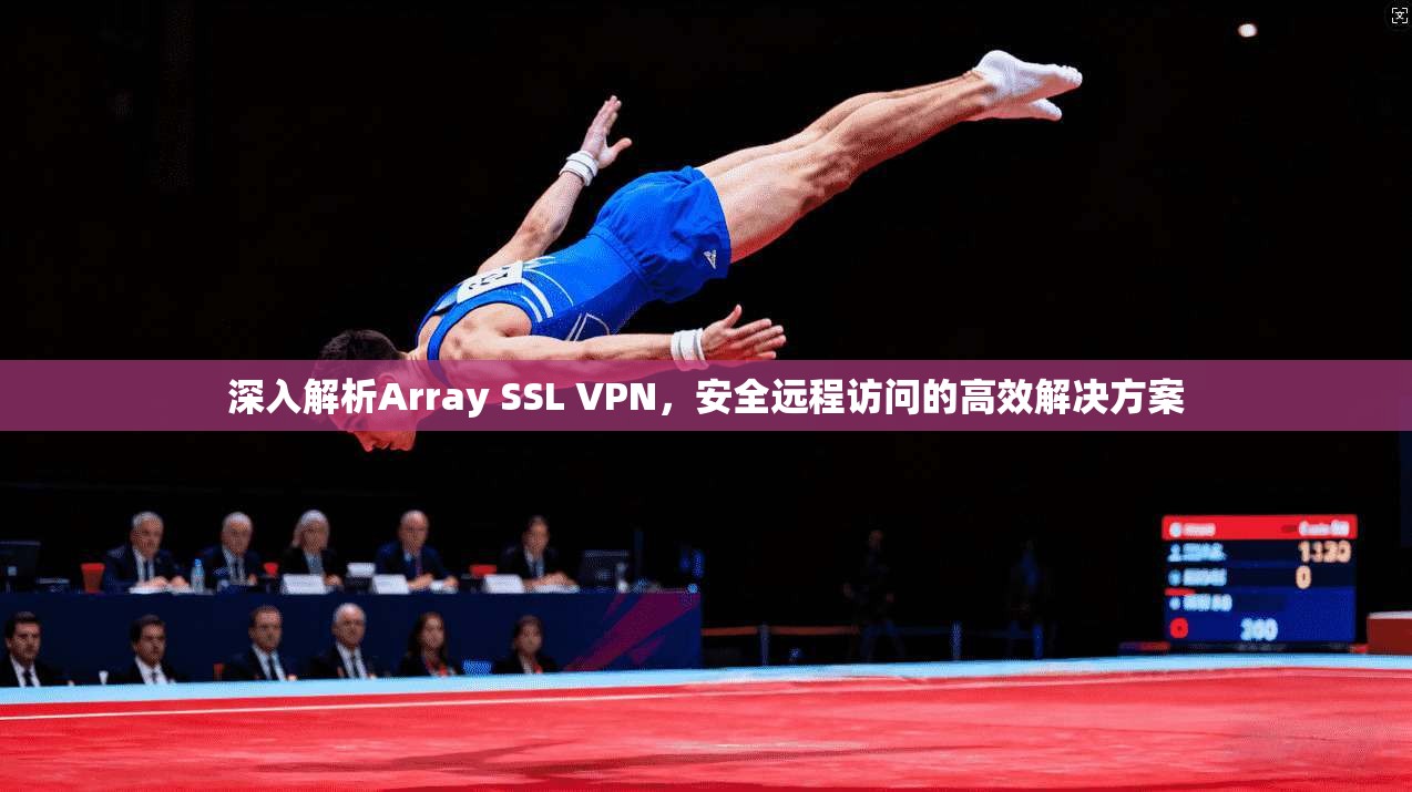 深入解析Array SSL VPN，安全远程访问的高效解决方案