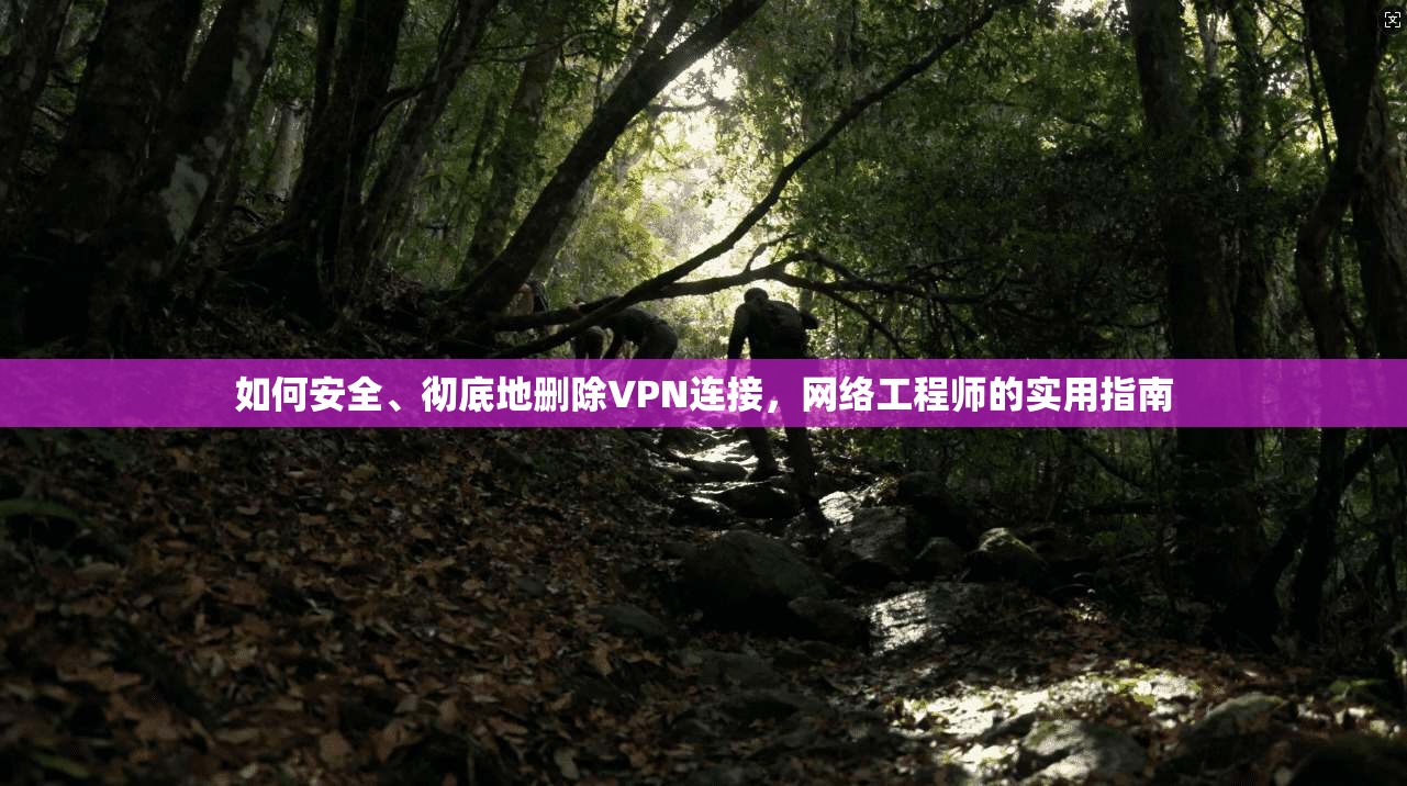 如何安全、彻底地删除VPN连接，网络工程师的实用指南