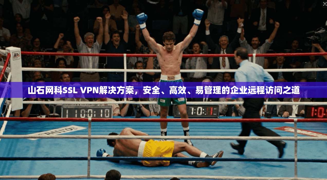 山石网科SSL VPN解决方案，安全、高效、易管理的企业远程访问之道