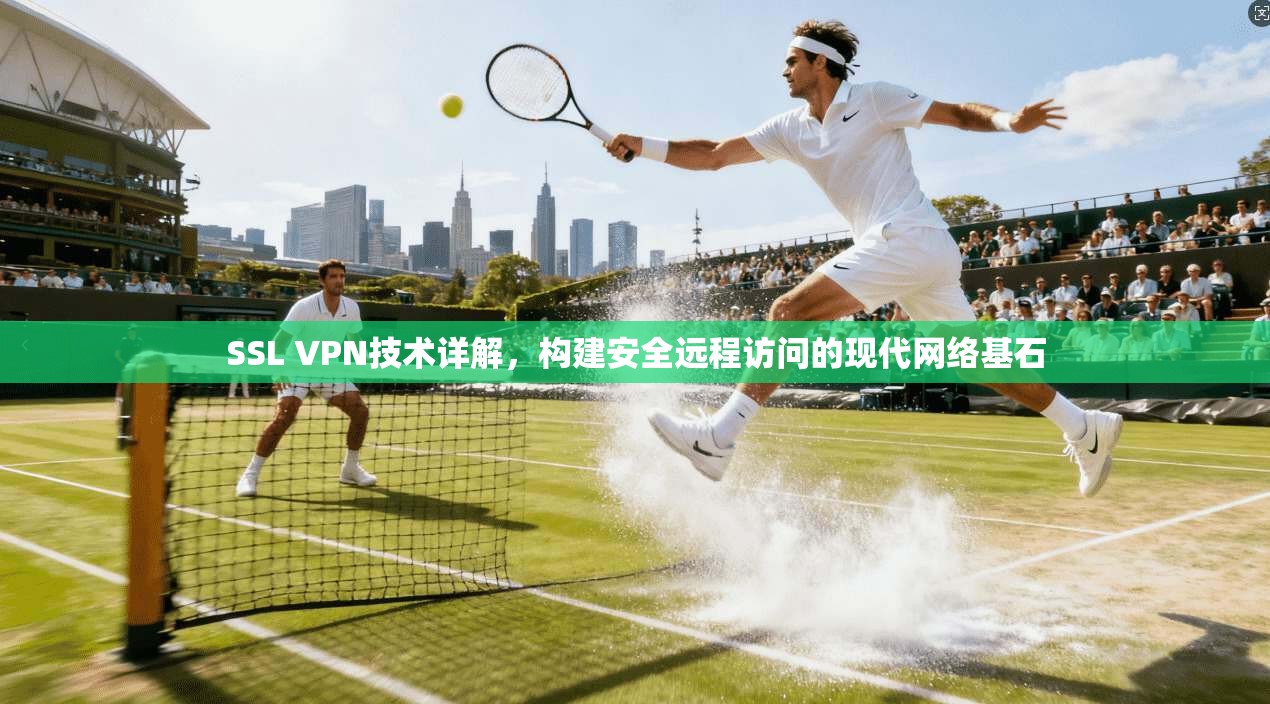 SSL VPN技术详解，构建安全远程访问的现代网络基石