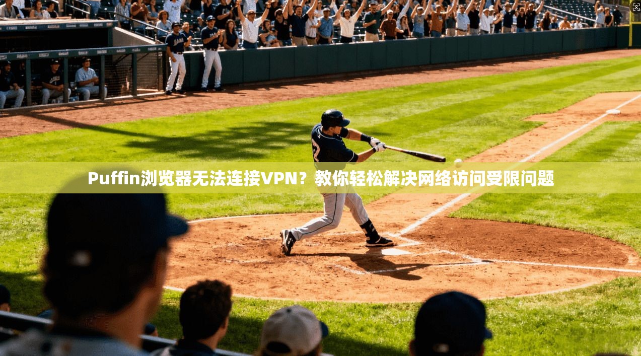 Puffin浏览器无法连接VPN？教你轻松解决网络访问受限问题