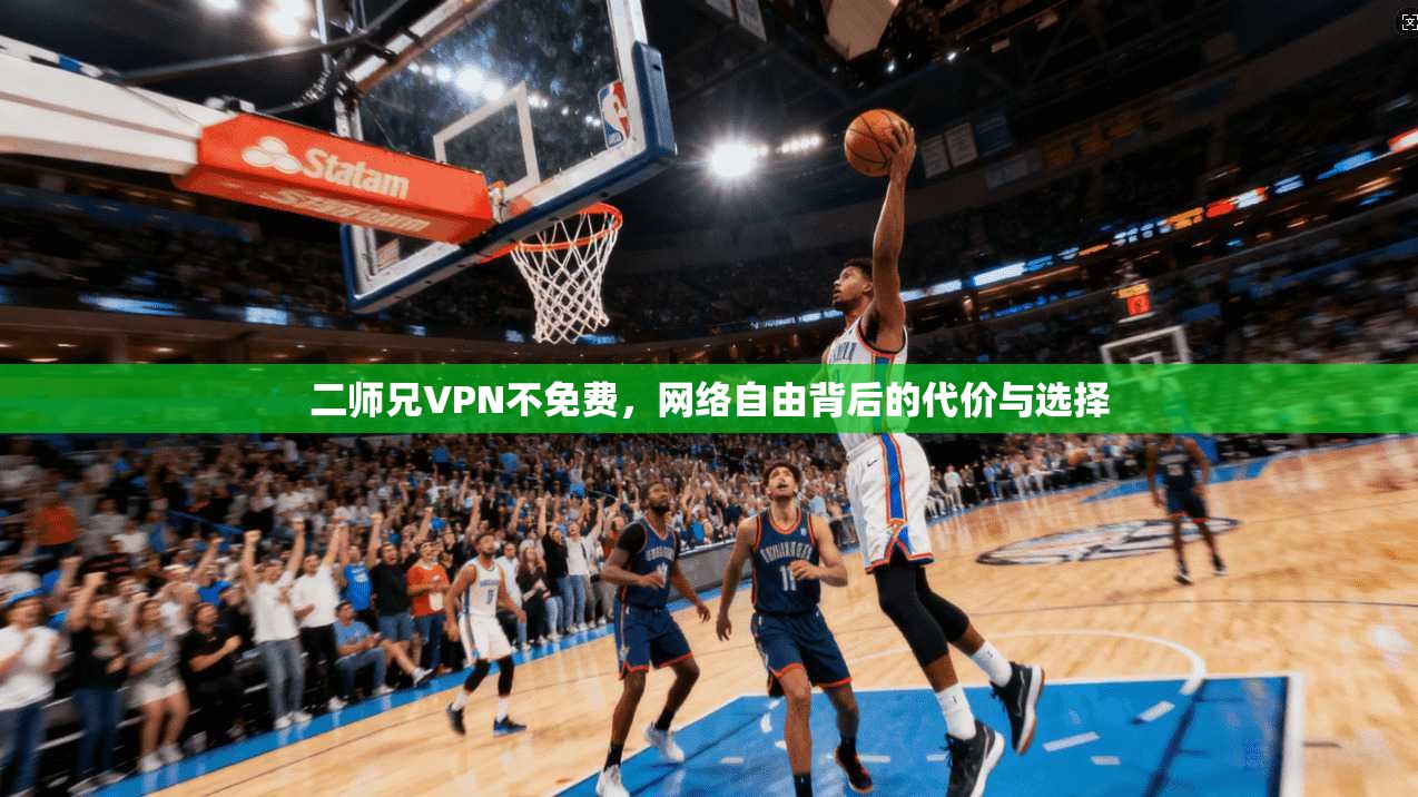 二师兄VPN不免费，网络自由背后的代价与选择