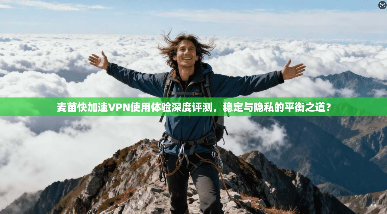 麦苗快加速VPN使用体验深度评测，稳定与隐私的平衡之道？