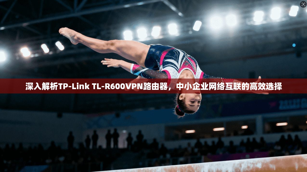 深入解析TP-Link TL-R600VPN路由器，中小企业网络互联的高效选择
