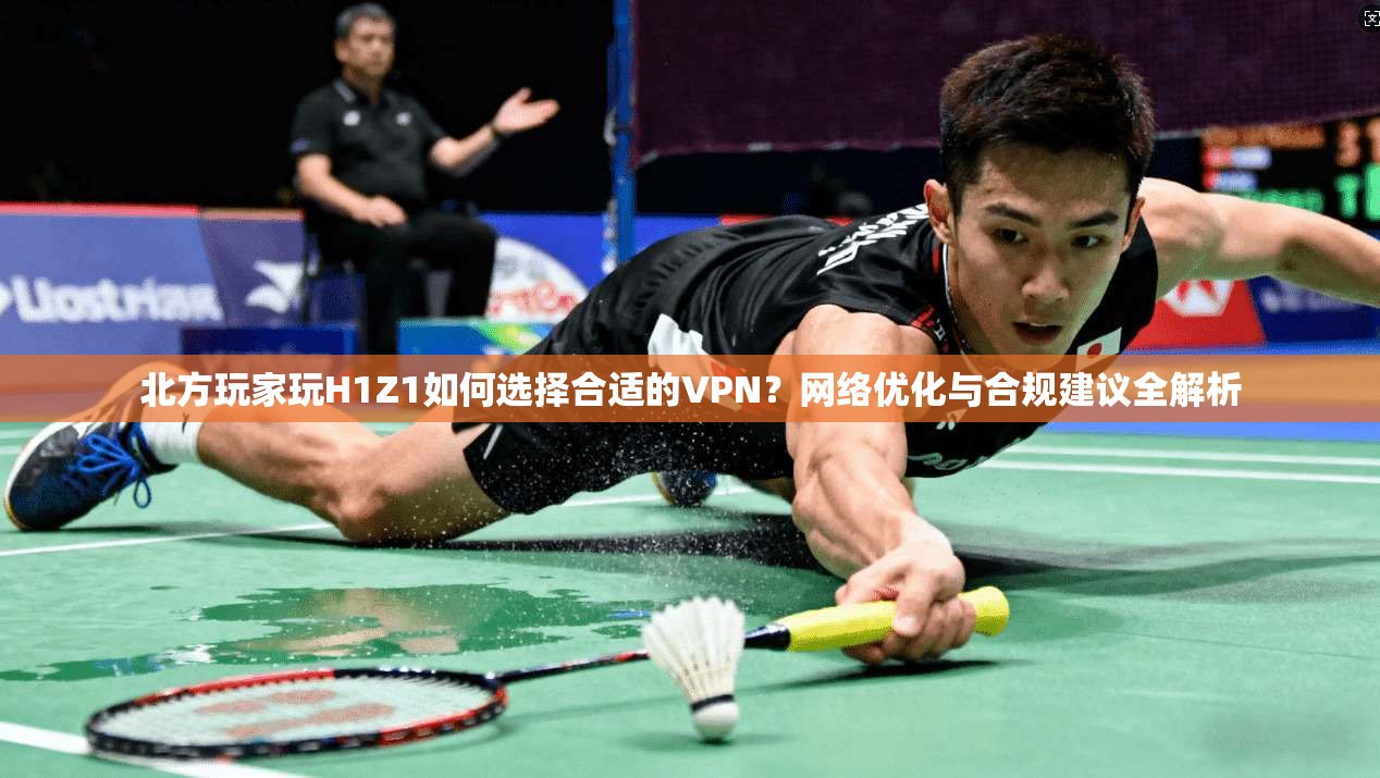 北方玩家玩H1Z1如何选择合适的VPN？网络优化与合规建议全解析