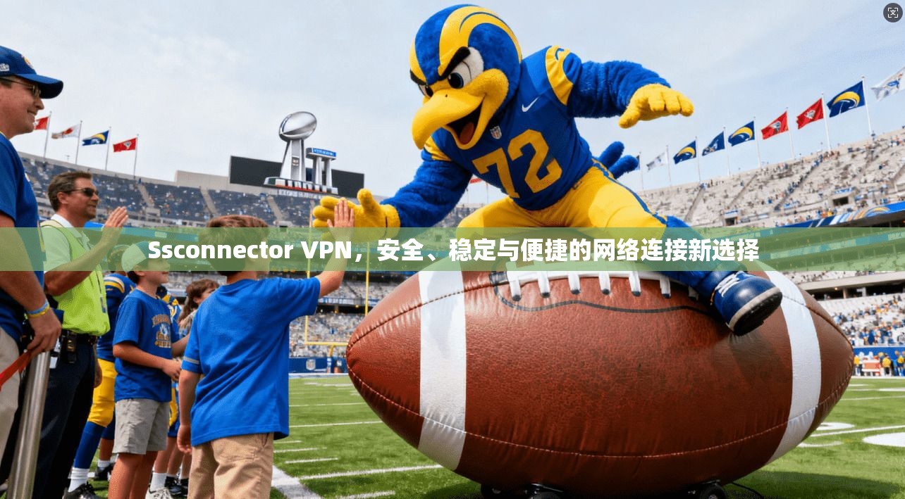 Ssconnector VPN，安全、稳定与便捷的网络连接新选择