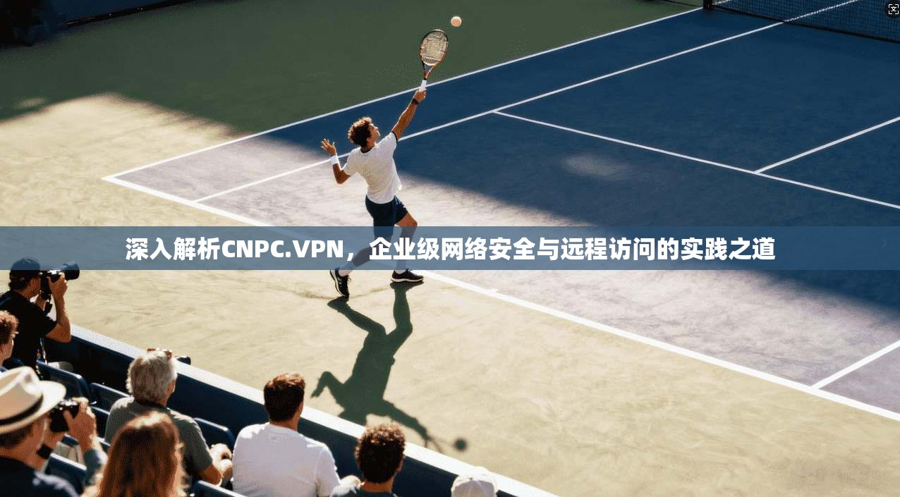深入解析CNPC.VPN，企业级网络安全与远程访问的实践之道