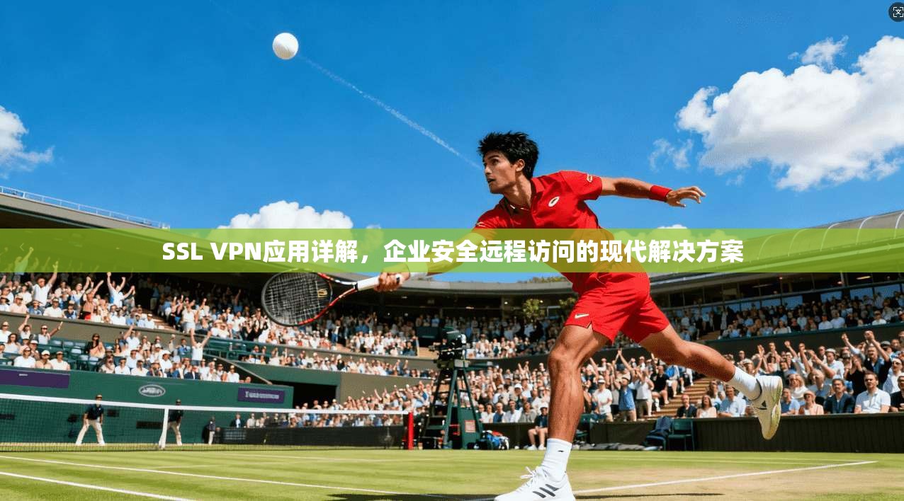 SSL VPN应用详解，企业安全远程访问的现代解决方案