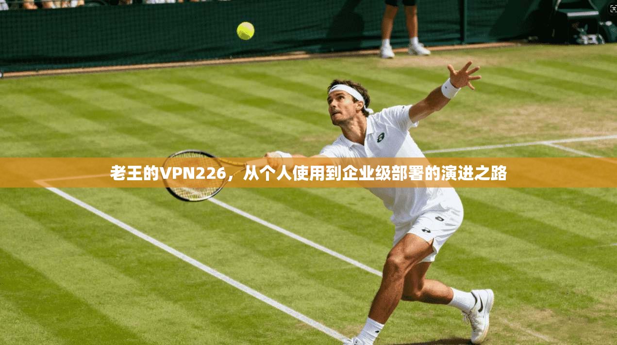 老王的VPN226，从个人使用到企业级部署的演进之路