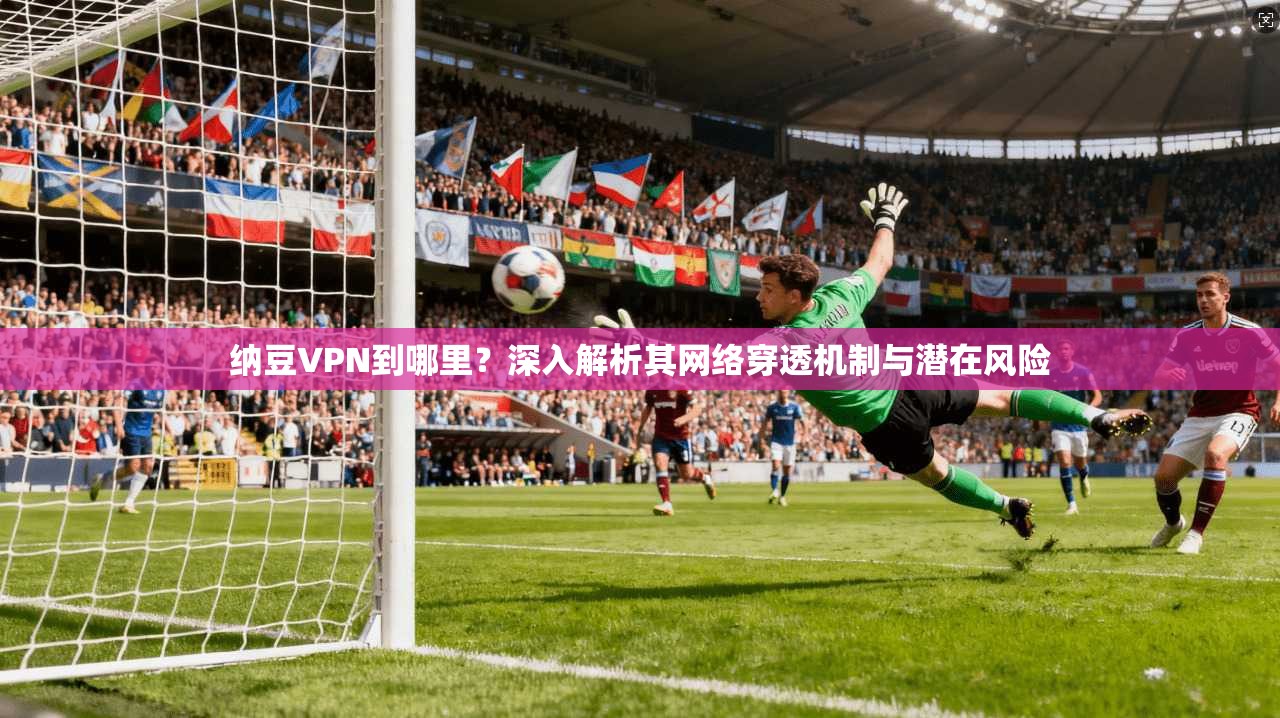 纳豆VPN到哪里？深入解析其网络穿透机制与潜在风险