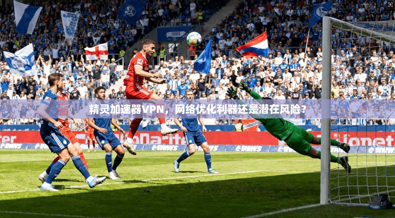 精灵加速器VPN，网络优化利器还是潜在风险？