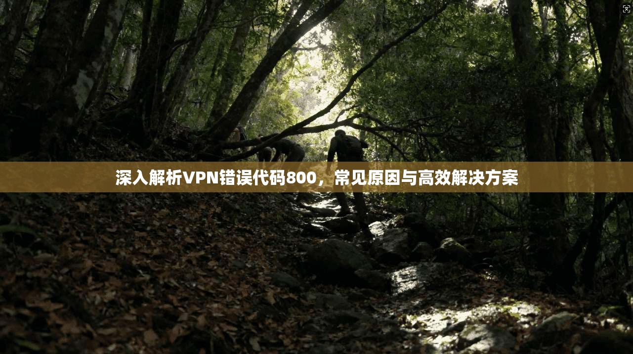 深入解析VPN错误代码800，常见原因与高效解决方案