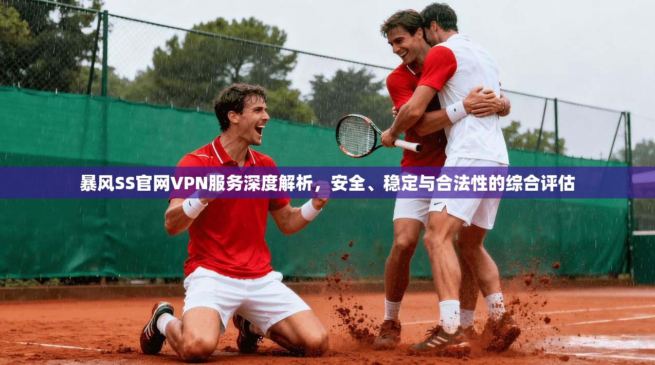 暴风SS官网VPN服务深度解析，安全、稳定与合法性的综合评估