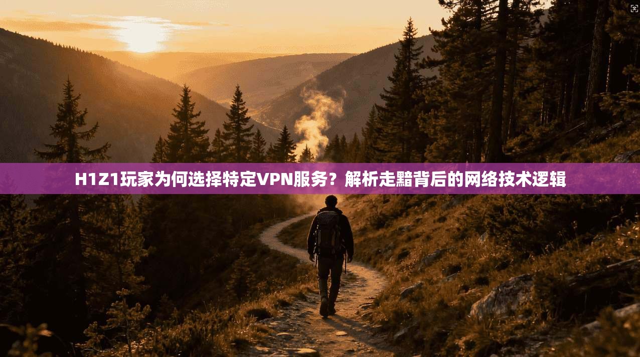H1Z1玩家为何选择特定VPN服务？解析走黯背后的网络技术逻辑