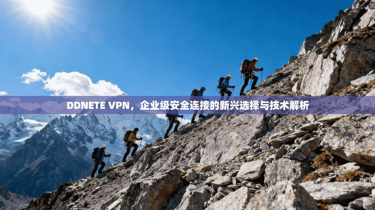 DDNETE VPN，企业级安全连接的新兴选择与技术解析