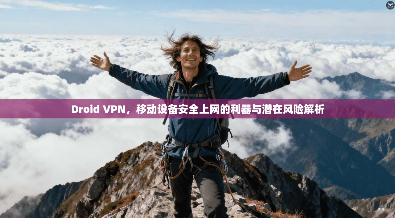 Droid VPN，移动设备安全上网的利器与潜在风险解析