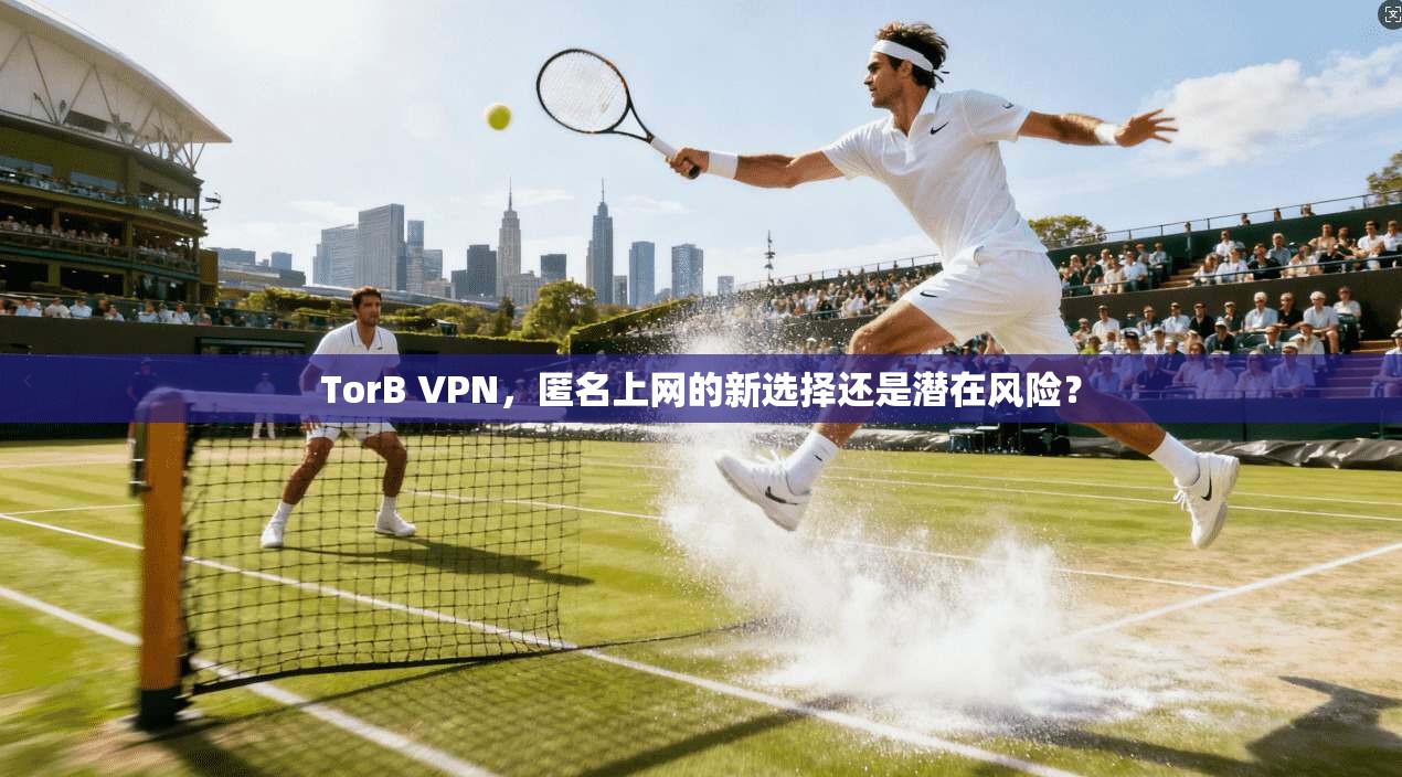 TorB VPN，匿名上网的新选择还是潜在风险？