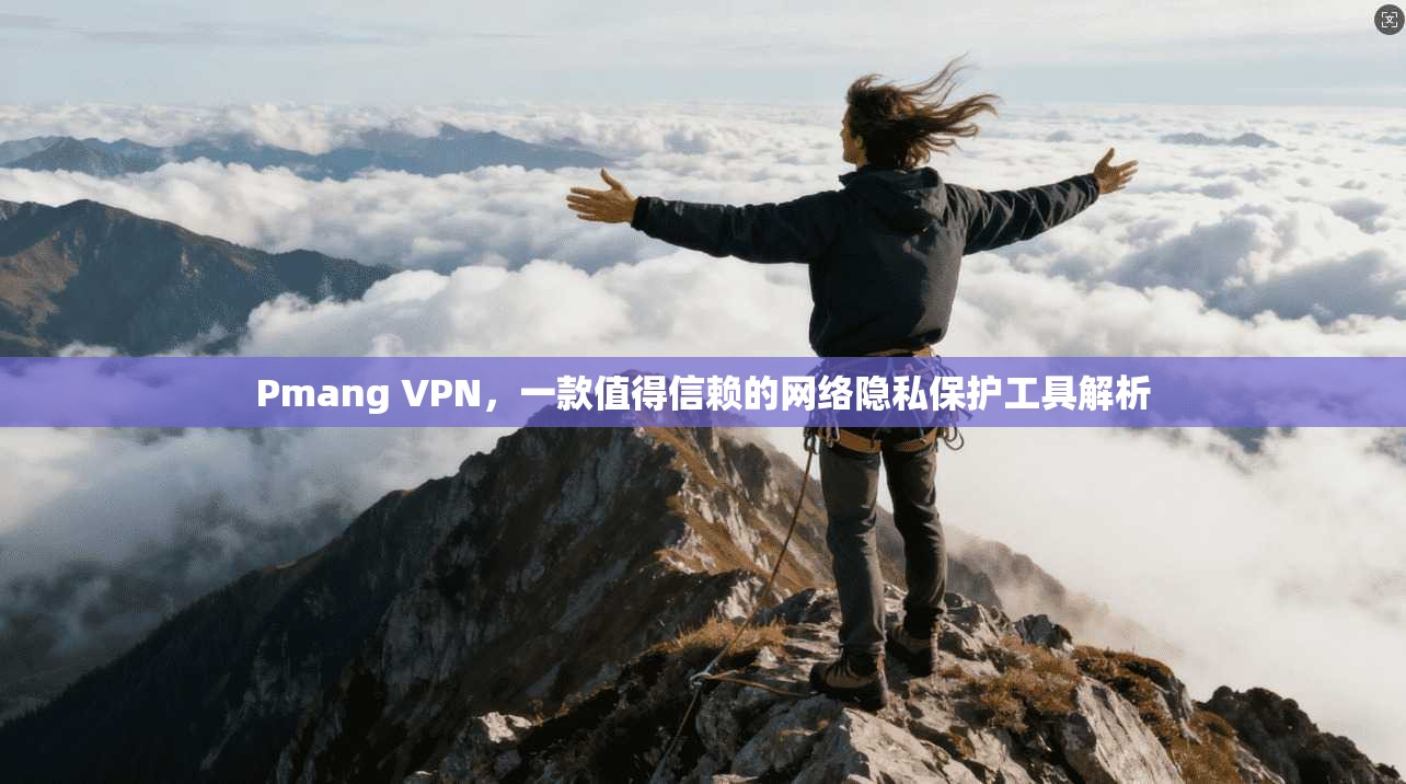 Pmang VPN，一款值得信赖的网络隐私保护工具解析