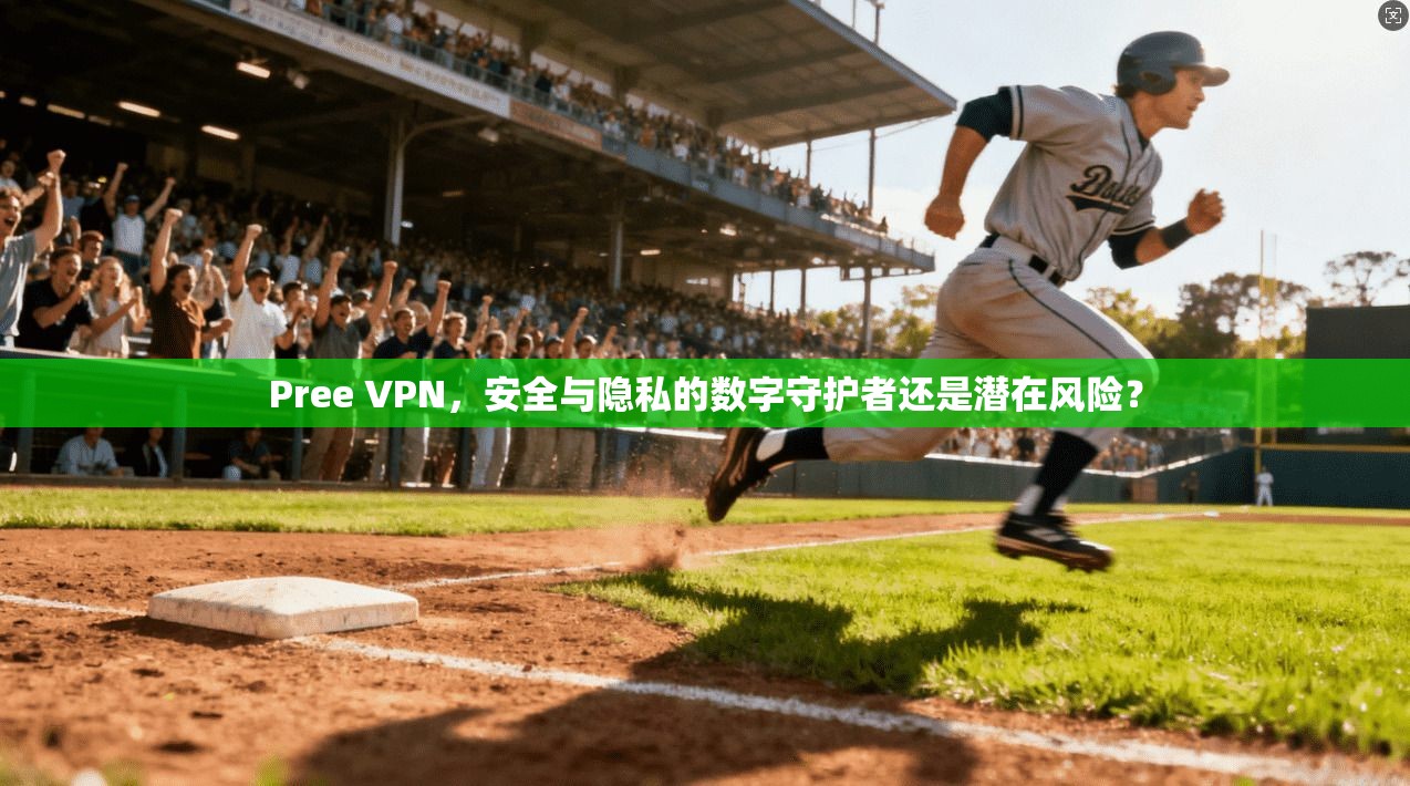 Pree VPN，安全与隐私的数字守护者还是潜在风险？