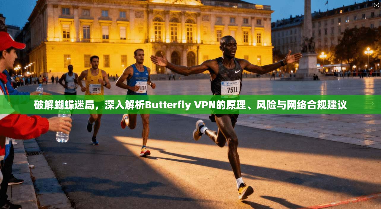 破解蝴蝶迷局，深入解析Butterfly VPN的原理、风险与网络合规建议